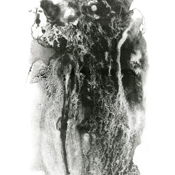 Tyler School of Art, Lithography. Liquid Project: Use liquid-based drawing materials on ball grain plate to create a black and white image. Maureen Bilotta, BA, art education major, 15” x 20”, lithograph on paper, Summer 2011. In this second assignment, students use liquid materials to draw on ball grain plates. Maureen poured on some solvent-based tusche and waited to see the beautiful reticulation. She then did an great job etching the plate and printing it to show the great detail and variation. The class was cross-registered as both a BFA and BA course in order to run over the summer.